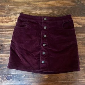 Express Velvet Skirt